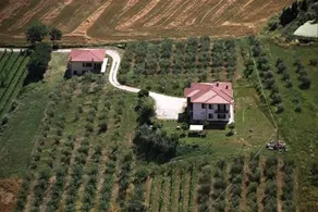 B&B Il Girasole - Rooms & House in country - air conditioned - 1500 meters from historic center - Image 5