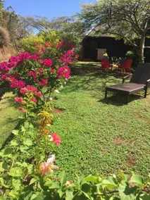 Villa Taura - Image 3