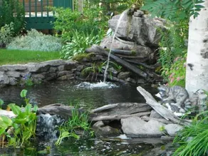Domaine des Dunes - Image 4