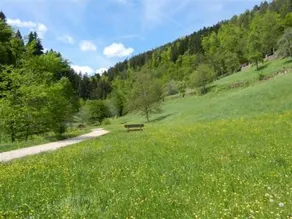 Appartementhaus Wiesengrund - Image 2