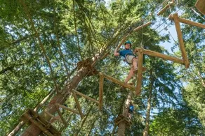 Domaine des Ormes Camping - Image 4
