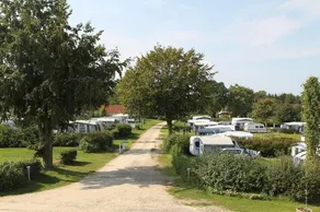 Hjarbæk Fjord Camping & Cottages - Image 5