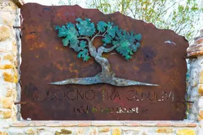 Il Sogno Tra Gli Ulivi - Image 2