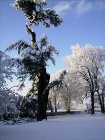 Chateau De La Garenne - Image 5
