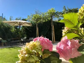 B&B Villa Dahlia - Image 3