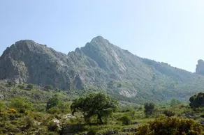 Cortijo Pulgarín Bajo - Image 4