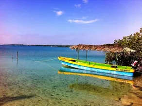 Ecocamping Yaxche - Image 5
