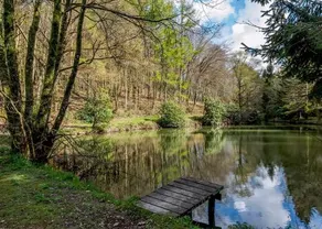 Bulworthy Forest Lodges - Image 4