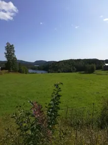 Myller Bed & Breakfast - Image 4