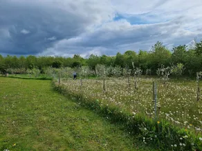Amazing Holiday Home in Aabenraa With TV - Image 2