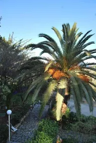 Hotel Orama - Image 2