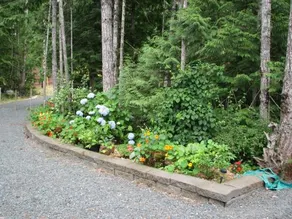 Ashling Cottage - Image 3