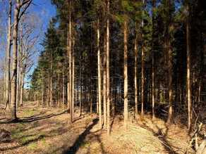6 person holiday home in Karrebæksminde - Image 3