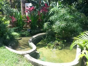 CHACARA RECANTO DA MATA - Image 5