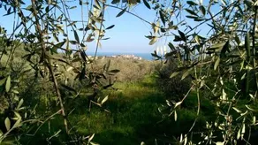 B&B Ca' de Pippu - Image 2