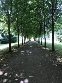Julieanehåb - Image 3