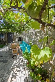 Margarita Guesthouse - Image 4