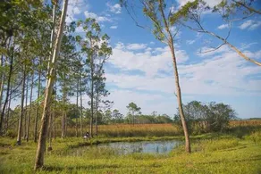 Pousada Rancho Alsaciano - Image 5