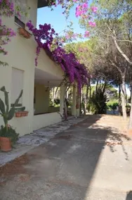 Vacanze Sardegna Mare San Giovanni Posada - Image 3