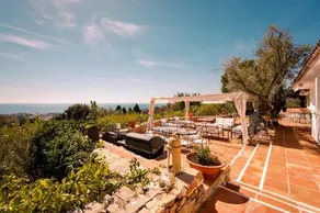 Rotonda Sundays - Image 4