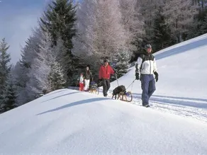 Modern Holiday Home in Tyrol near Ski Area - Image 5