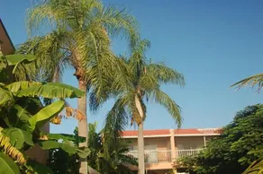 Beach Road Villas - Image 3