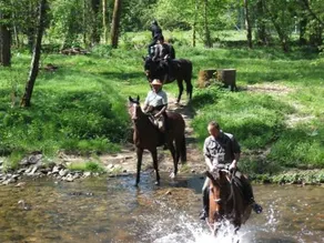 Sportpension Ramlhof - Image 4