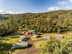 Derby Forest Cabins - Image 2