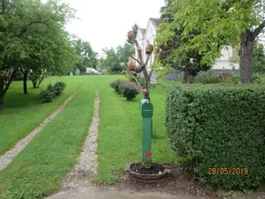 Molnárporta - Image 4