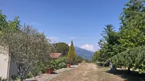 Agriturismo Collevento - Image 4