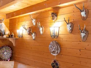 Spacious Chalet in Hinterrod Thuringia with Sauna - Image 4