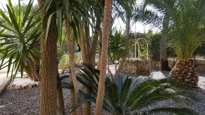 Phalanthos B&B - Image 4