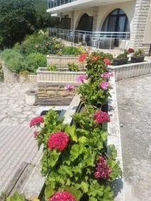 Hotel Venera - Image 2