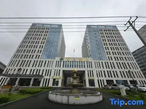 BLossom Hotel - Image 5