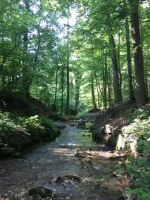 Boutique-Pension seeherberge - Image 5