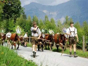 Birnhorn Leogang - Image 3