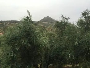 Los Esperones - Image 5
