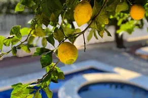 ARENDA Pino Alto Villa Lemon - Image 4