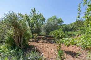 Villa Pontons - Image 5
