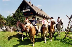 Sport-Gasthof Lipp - Image 3