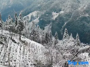 Nanxi · Spring Breeze Ten Miles Wild Luxury Resort Manor (Shennongjia Muyu) - Image 3