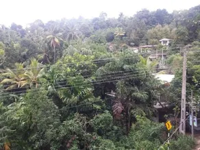 Greenwood Kandy Homestay - Image 2