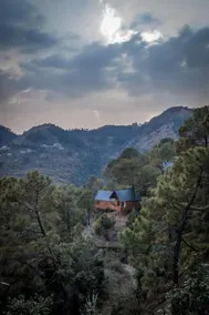 Suro Treehouse Resort - Image 5