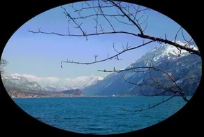Rossli - Image 5