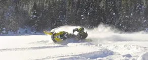 Le Ti Moose - Image 5
