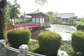 Kazu-chan House - Image 3