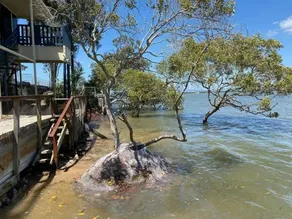 Ocean Front Paradise. Bring Boat and Relax. 40% off long term stays! - Image 2
