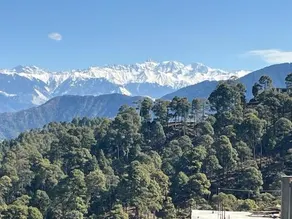 Dalhousie Palace - Image 2