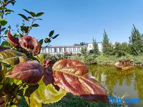 Yucheng Zhuangyuan Inn - Image 3