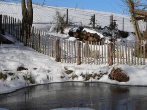 Holiday Home With Terrace, Beautiful Natural Garden and Playing Opportunities for Children - Image 4